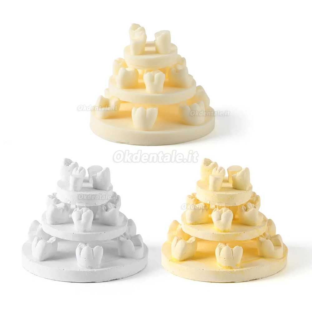 Kit di formazione per modelli di pratica della morfologia dei denti, 3 pezzi/confezione, posizioni U6/L6/U4 (gesso/resina)